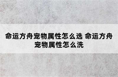 命运方舟宠物属性怎么选 命运方舟宠物属性怎么洗